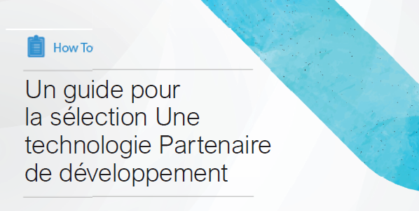 Le guide fournit une liste de considérations à prendre en compte lors de la sélection d'un partenaire pour offrir des services techniques à un projet d'agriculture numérique. Les documents énumèrent les DOIT FAIRE lors du lancement du projet, de la constitution de l'équipe interne du projet, de l'établissement d'un calendrier, de la budgétisation et de l'élaboration d'un appel d'offres.