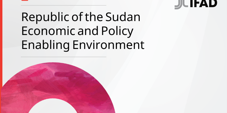 Cover image Sudan case study
